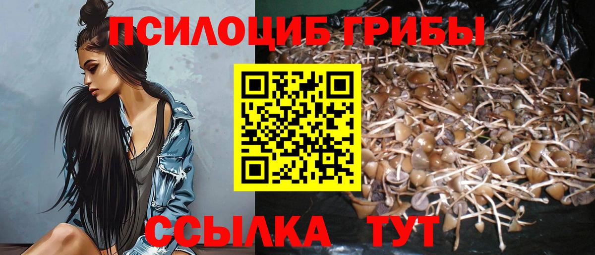 Галлюциногенные грибы прущие грибы  закладки  Ипатово  Вход с VPN 